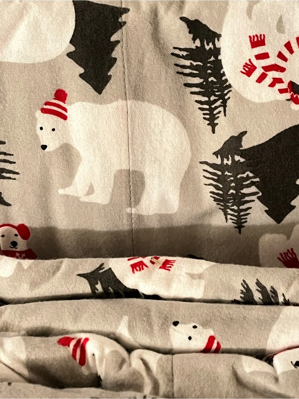 Ultra Cozy Queen Flannel Sheet Set Cold Weather Bedding